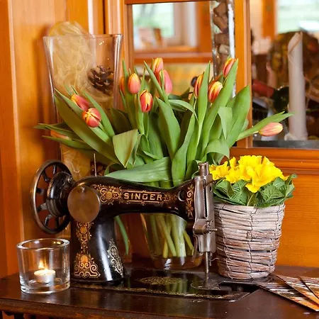 Hotel Alemannenhof Schallstadt