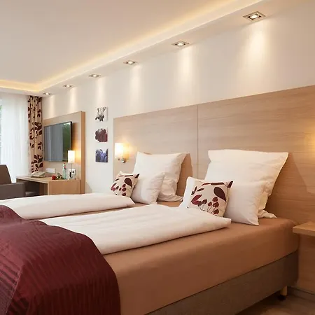 Hotel Alemannenhof 3*